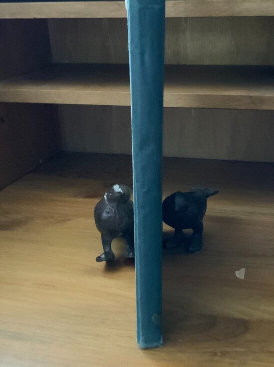 VINTAGE BOOK - 1932 - THE LIFE OF OUR LORD - SCRIPTURE STORIES FOR CHILDREN - Picture 11 of 12